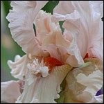 DSCN0074.JPG